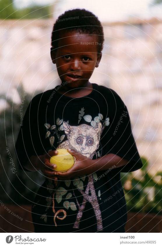 Marklin schwarz Afrikaner Kind Freundlichkeit Porträt Kindergesicht Jungengesicht Waise niedlich schön klein Ball Mensch Gesicht Blick in die Kamera