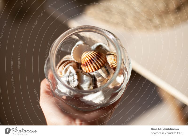 Nahaufnahme einer Hand, die ein rundes Glasgefäß mit Muscheln hält. Muscheln in einem Glasgefäß als Wohndekoration. Mit Muscheln dekorierte Wohnung. Inneneinrichtung im maritimen Stil. Urlaubsmodus.