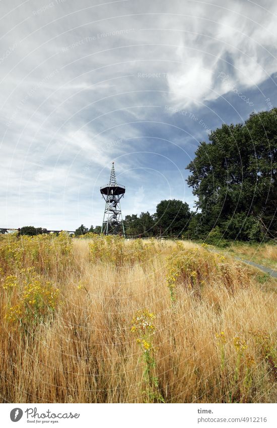 Wanderlust | Wiese, Wald und Kletterturm Aussichtsturm wiese wald himmel wolken wandern reisen natur ländlich überblick Fernsicht Ferien & Urlaub & Reisen