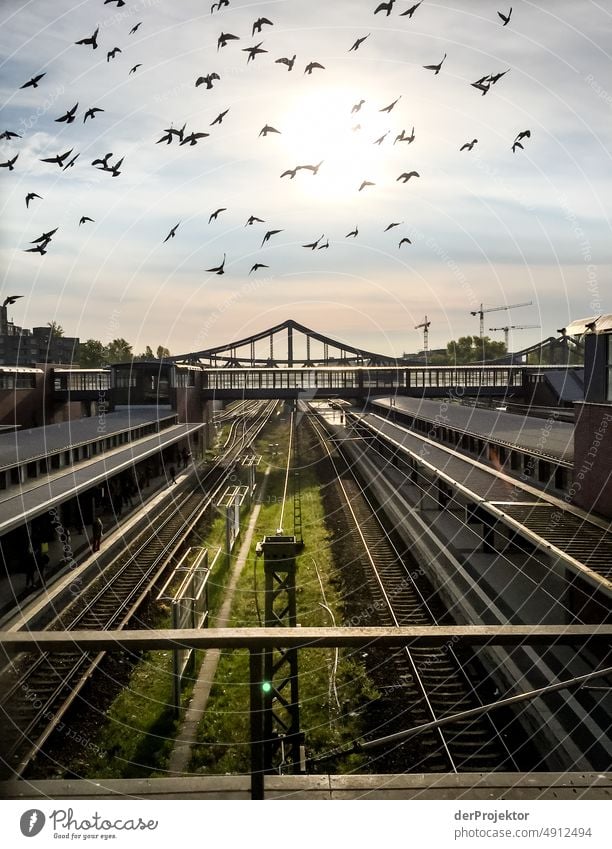 Bahnhof Gesundbrunnen mit Vögeln am Morgen Berlin Denkmal Wahrzeichen schlechtes Wetter grau Stadt Berlin Mitte Muster abstrakt Urbanisierung Hauptstadt