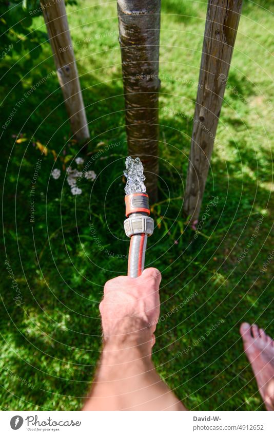 Hitze - Im Sommer wird gewässert Wasserschlauch wässern Pflanzen dürre trockenheit gießen Bewässerung wasserverbrauch hand baum Gartenschlauch