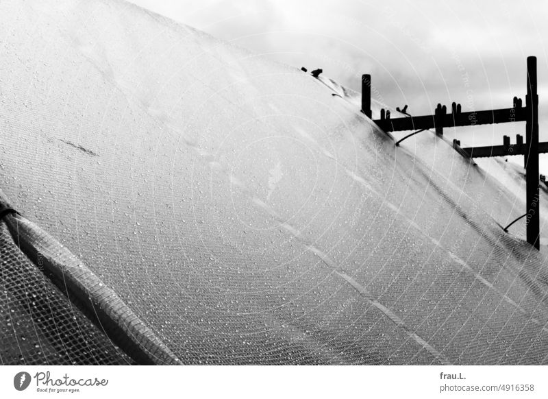 Bauplane im Regen Renovieren Himmel Schutzplane Plane Sanierung Gerüst Baustelle Fassade Baugerüst Gebäude Haus Sanieren Arbeit Regentropfen Plastik Regenwolken