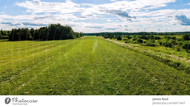 Offenes Feld für die Heugewinnung Horizont sonnig natürlich Amerikaner Natur Land Wiese Hintergrund Ackerbau Pflanze mittelwesten usa Baum Wachstum Wisconsin