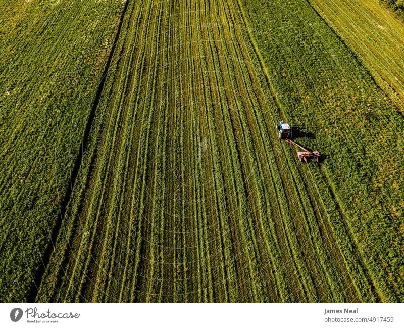 Landwirtschaftliches Feld wird abends gemäht Gras sonnig natürlich grasbewachsen Amerikaner Heu Natur Wiese Hintergrund Ackerbau Pflanze mittelwesten usa Baum