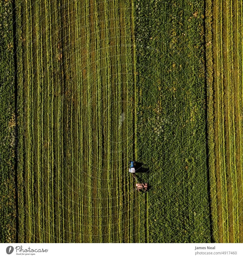 Landwirtschaftliches Feld wird abends gemäht Gras sonnig natürlich grasbewachsen Amerikaner Heu Natur Wiese Hintergrund Ackerbau Pflanze mittelwesten usa Baum