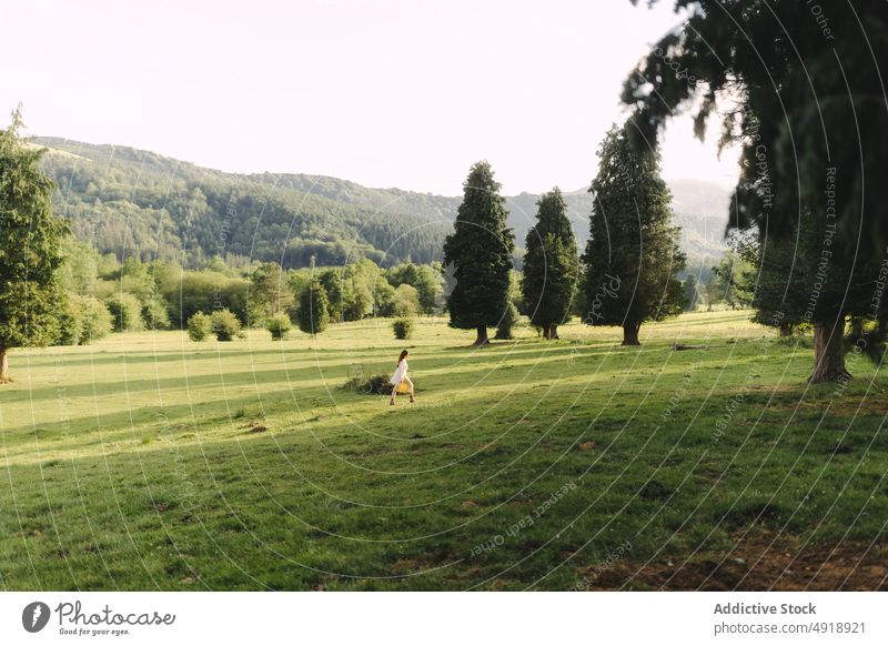 Frau geht auf einem grasbewachsenen Feld auf dem Lande spazieren Landschaft Spaziergang Waldgebiet Baum Natur Wiese Gras Sommer Zeitvertreib Erholung Pflanze