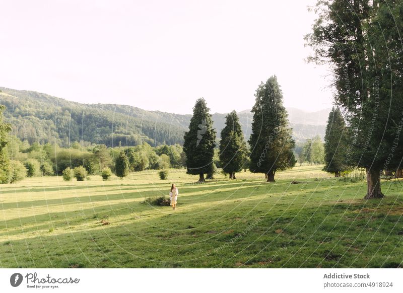 Frau steht auf einem grasbewachsenen Feld auf dem Lande Landschaft stehen Waldgebiet Baum Natur Wiese Gras Sommer Zeitvertreib Erholung Pflanze feminin Dame