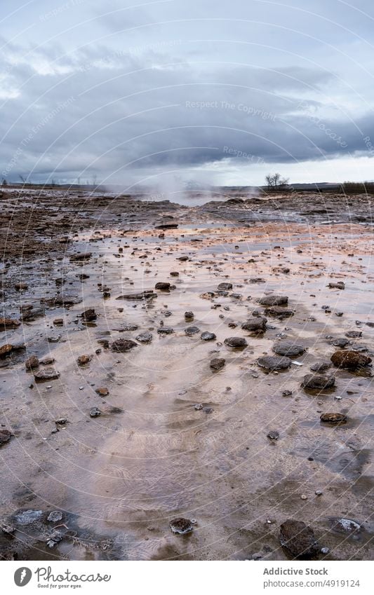 Vulkanisches Gelände mit Geysir unter bewölktem Himmel vulkanisch Geothermie Natur Landschaft Berge u. Gebirge Verdunstung Formation Geologie rau Krater