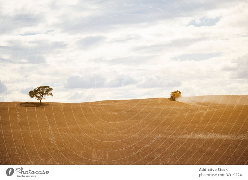 Mähdrescher auf einem landwirtschaftlichen Feld Ernte Korn abholen Ackerbau Maschine Landschaft Laufwerk Industrie Bauernhof natürlich kultivieren ländlich