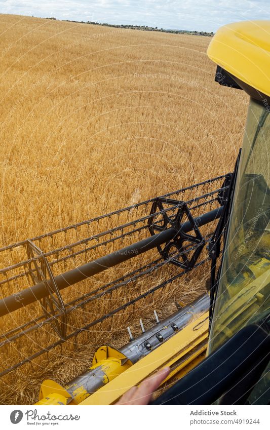 Mähdrescher bei der Getreideernte Erntemaschine Korn abholen Ackerbau Feld Maschine Landschaft ländlich Industrie Bauernhof kultivieren Schonung Gerät Agronomie