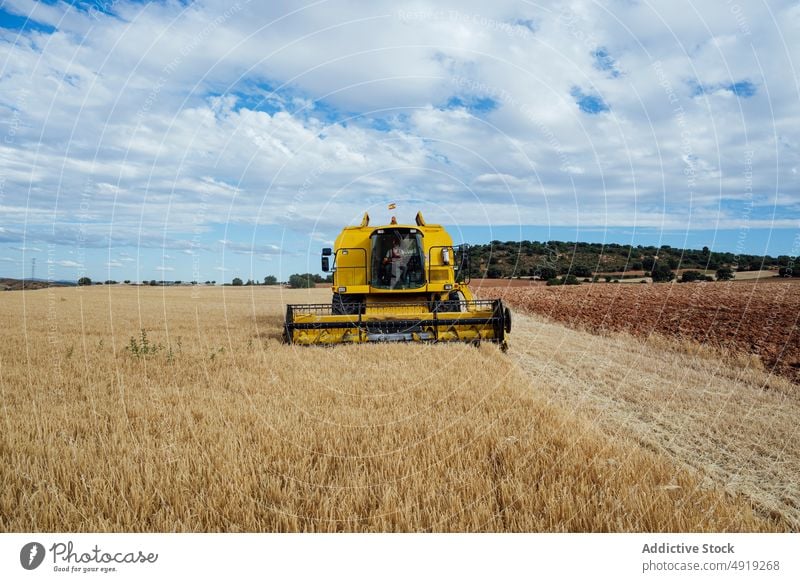 Mähdrescher auf einem landwirtschaftlichen Feld Ernte Korn abholen Ackerbau Maschine Landschaft Laufwerk Industrie Bauernhof natürlich kultivieren ländlich