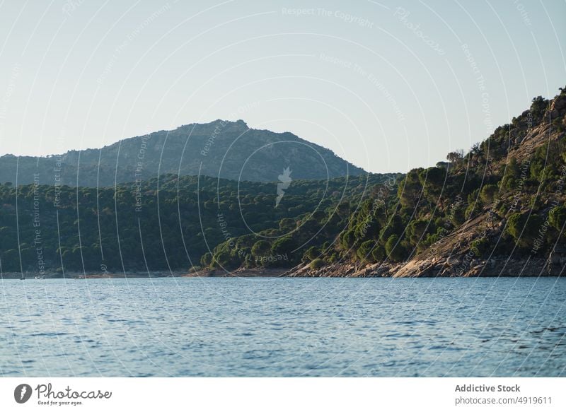 Meer in der Nähe von Wald mit Bäumen MEER Wälder Wasser Ufer Natur Küste Baum Waldgebiet Berge u. Gebirge tropisch Sommer Pflanze wolkenlos Landschaft