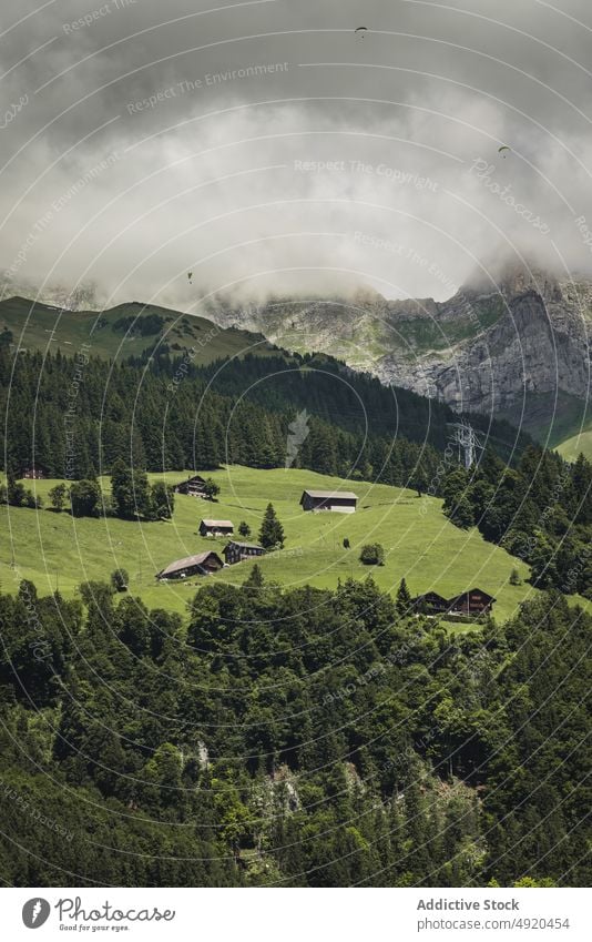 Kleine Siedlung und üppige Tannenbäume, umgeben von massiven Bergen im Sonnenlicht Berge u. Gebirge Natur Dorf Wohnsiedlung Tal Haus Cottage Landschaft Baum