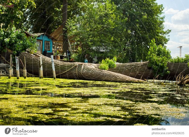 Baumstamm im Wasser ausflug boot erholung ferien fluß kanal landschaft natur paddel paddelboot ruderboot schiff schifffahrt see sommer sport teich ufer urlaub