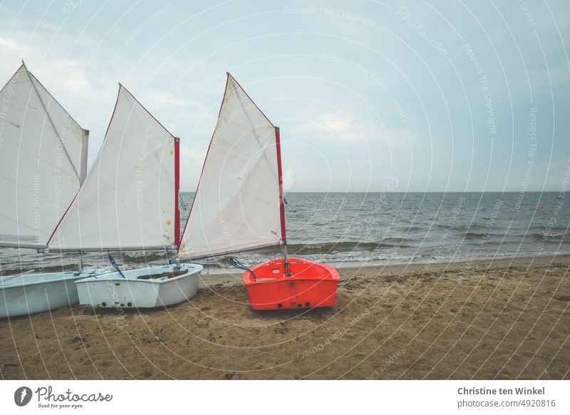 Drei Optimisten - Jollen am Nordseestrand, bereit für den Segelunterricht an einem trüben Tag Boot Segelschule Meer Himmel Segelboot Sommer Segeln Wolken