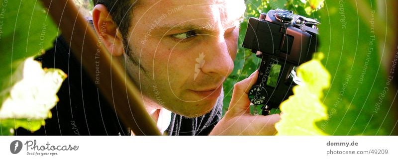 den treffe ich ... schießen Fotografieren Mann Kerl Weinberg Blatt Sommer grün Bart Verabredung zdenek sitzen hockend Fotokamera minolta konica stiehl Sonne Ohr