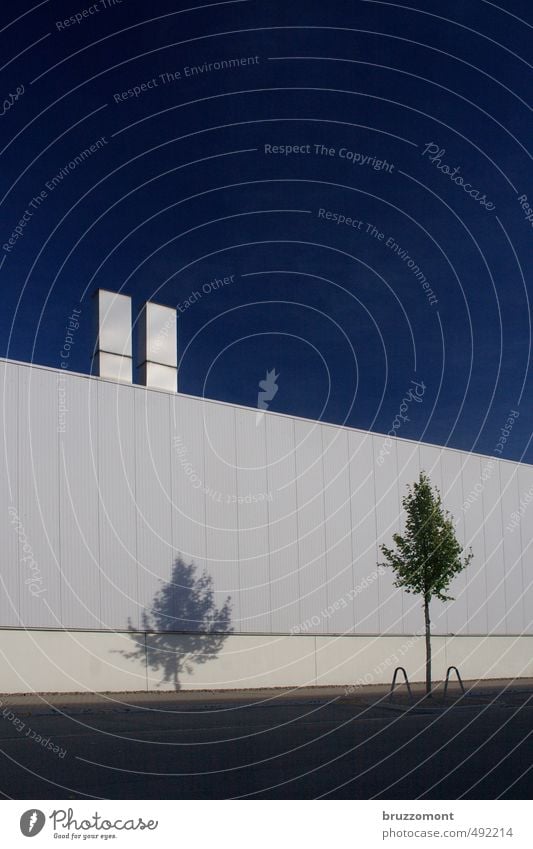 Flächenversiegelung Industrie Güterverkehr & Logistik Business Unternehmen Wolkenloser Himmel Baum Stadtrand Menschenleer Industrieanlage Mauer Wand Schornstein