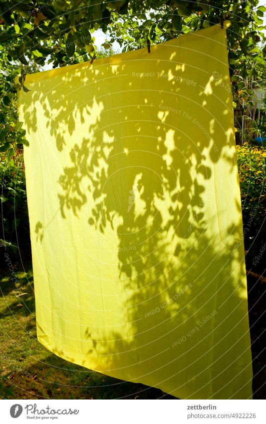 Gelbe Plane im Garten ast baum erholung ferien gardine garten hecke kleingarten kleingartenkolonie licht menschenleer nachbarschaft natur pflanze ruhe saison