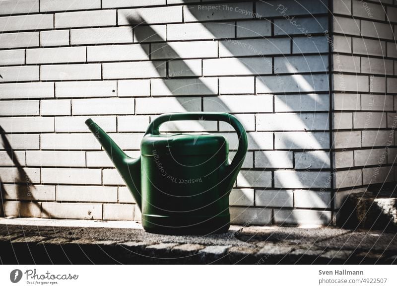 Gießkanne steht vor weiß gemauerter Wand Garten Gartenarbeit gießen Natur Freizeit & Hobby Außenaufnahme Wasser Pflanze Farbfoto Gärtner grün Umwelt Blume