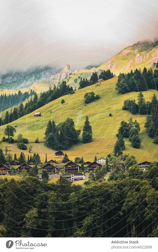 Kleine Siedlung und üppige Tannenbäume, umgeben von massiven Bergen im Sonnenlicht Berge u. Gebirge Natur Dorf Wohnsiedlung Tal Haus Cottage Landschaft Baum