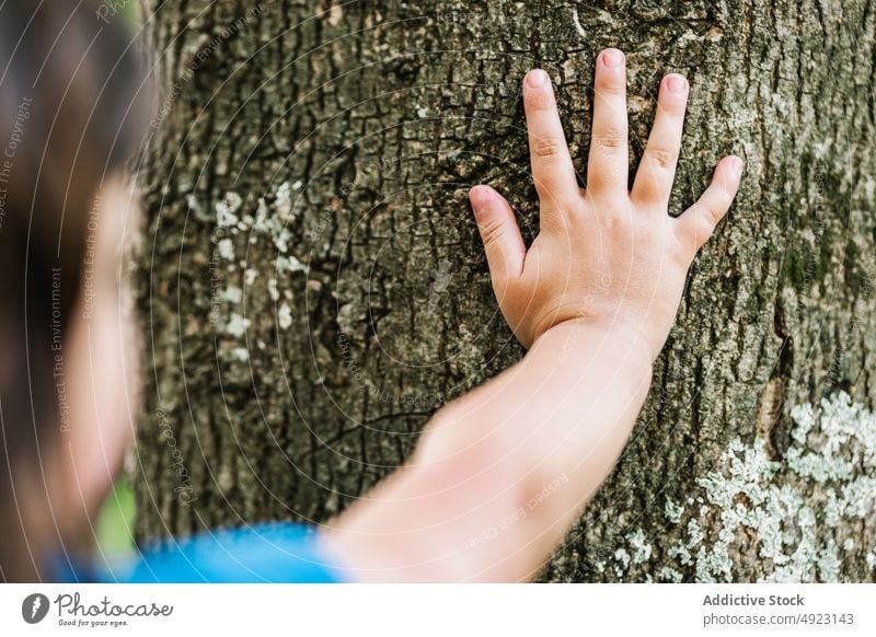 Crop unkenntlich Kind berührt Baumstamm berühren Kofferraum Rinde Sommer Park erkunden natürlich Natur Saison Kindheit tagsüber uneben Wälder ruhen Gelassenheit