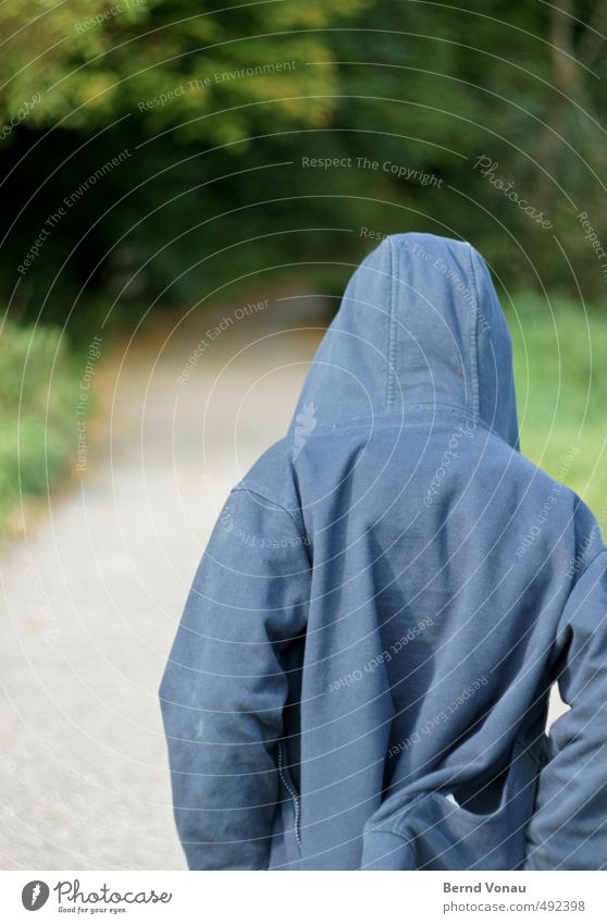 Kapuze maskulin Junge Kindheit 1 Mensch 8-13 Jahre Herbst Wiese Wald Wege & Pfade frieren gehen hell blau grau grün schwarz nachdenklich unterwegs geradeaus