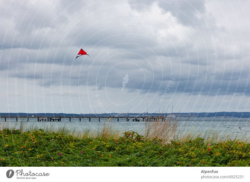 Ostseedrache Drache Strand fliegen Himmel Herbst Freude Wind Wolken steigen Freiheit Luft Lenkdrachen Außenaufnahme Freizeit & Hobby Spielen drachensteigen