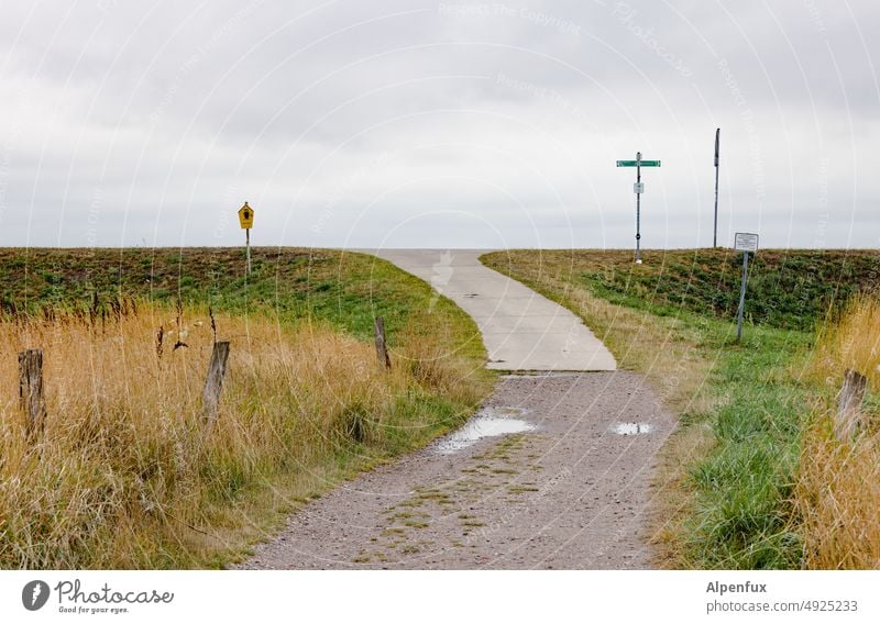 begrenzter Horizont Düne Natur Stranddüne Küste Ferien & Urlaub & Reisen Ostsee Erholung Landschaft Meer Wolken Dünengras Menschenleer Tourismus Himmel Deich