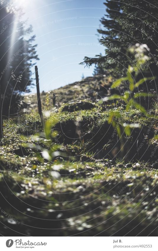 Da hoch will ich Umwelt Natur Landschaft Luft Wetter Schönes Wetter Gefühle Stimmung Freude Abenteuer Farbfoto Außenaufnahme Tag Licht