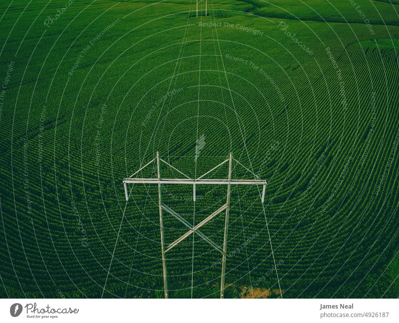 Stromleitungen über Bauernhöfen im Sommer wachsen Kabel Natur abstrakt Land Korn Hintergrund Ackerbau Mais oben Dröhnen Wachstum Wisconsin im Freien Umwelt gelb