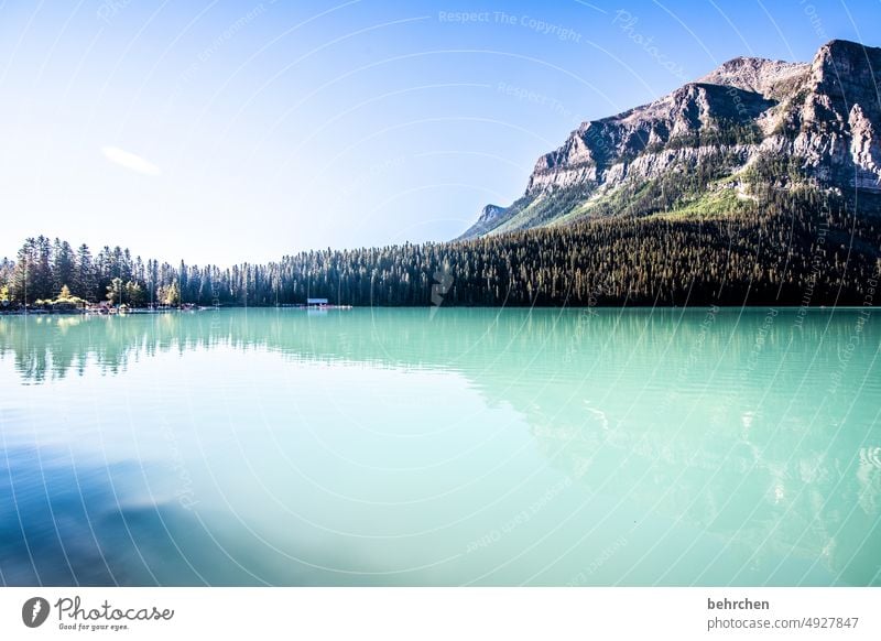 stille Lake Louise Alberta Abenteuer Freiheit See Landschaft Berge u. Gebirge Kanada Außenaufnahme Natur Rocky Mountains Nordamerika Farbfoto fantastisch