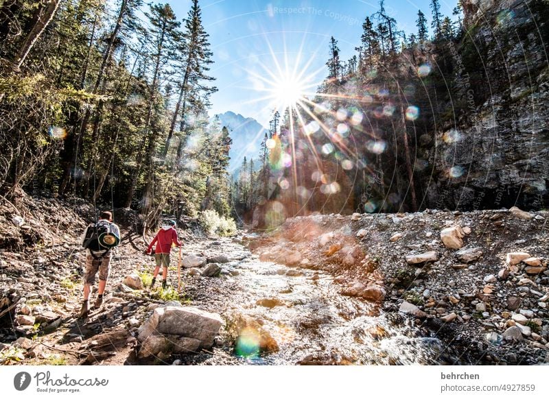 wanderlust | auf ins abenteuer, yeah!!! Familie & Verwandtschaft Freiheit Abenteuer Sohn wandern Kanada Berge u. Gebirge Wald Bäume Landschaft Nordamerika