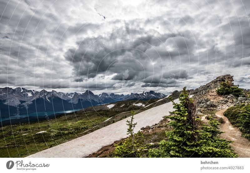 schneegrenze Ausflug Einsamkeit Alberta Himmel Nordamerika Landschaft fantastisch Außenaufnahme besonders weite Natur Bäume Abenteuer wandern Kanada Farbfoto