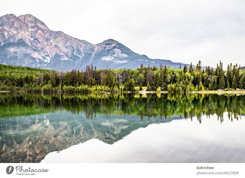 doppelt schön! Bergsee Reflexion & Spiegelung weite Ferne Fernweh besonders fantastisch Menschenleer Tourismus Ferien & Urlaub & Reisen Farbfoto Nordamerika