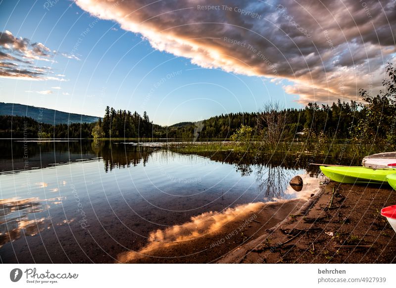 wenn es abend wird Wasser dutchlake clearwater Idylle entspannen genießen träumen erholsam Erholung stühle romantisch Wolken Sonnenuntergang Abenddämmerung