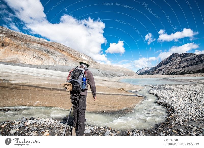 eiswandern Alberta Ferne Wasser Icefields Parkway Felsen Fernweh fantastisch besonders Tourismus Ferien & Urlaub & Reisen Außenaufnahme Natur Rocky Mountains