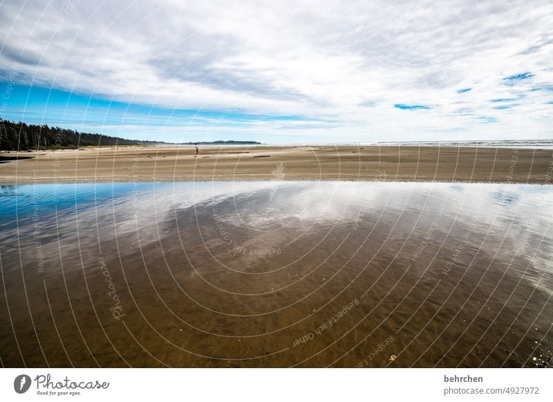 der himmel auf erden British Columbia Long Beach Vancouver Island Kanada Nordamerika besonders fantastisch Einsam Einsamkeit Ferne außergewöhnlich Wasser