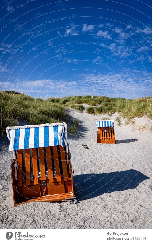 Strandkörbe vor Düne im Naturschutzgebiet auf Helgoland II Urlaubsort Menschenleer Schleswig-Holstein Küste Nordsee Schönes Wetter Deutschland Insel