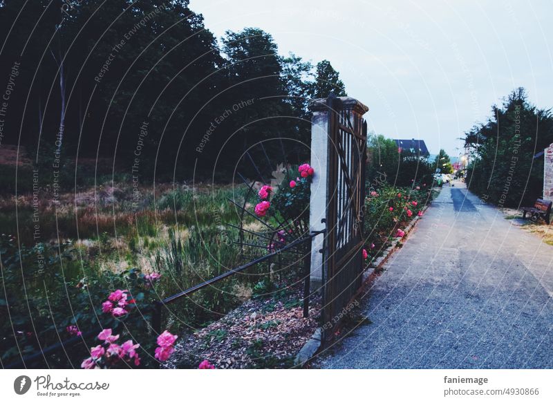 Schlosspark Rosen zaun Weg Tor Fluchtpunkt Fluchtpunktperspektive romantisch Abend Abendstimmung Abenddämmerung nachts Romantik Garten Park Blumen gesäumt