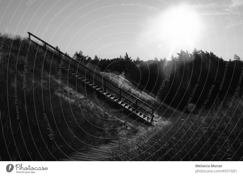 Landschaft mit Treppe. Holztreppe zum Strand mit Sand in surrealen Morgenlicht bedeckt. Low key abstrakte Landschaft. Sanddünen Fußweg im Naturpark mit einem geschützten Küstenstreifen an der Ostsee.