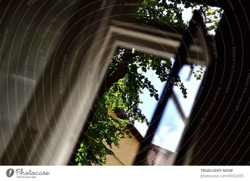 Schlafzimmerfenster / Nach der tiefen dunklen Nacht / Ist der Tag erwacht Fenster offen Fensterflügel Oberlicht Raum Fensterrahmen Fensterblick Tageslicht