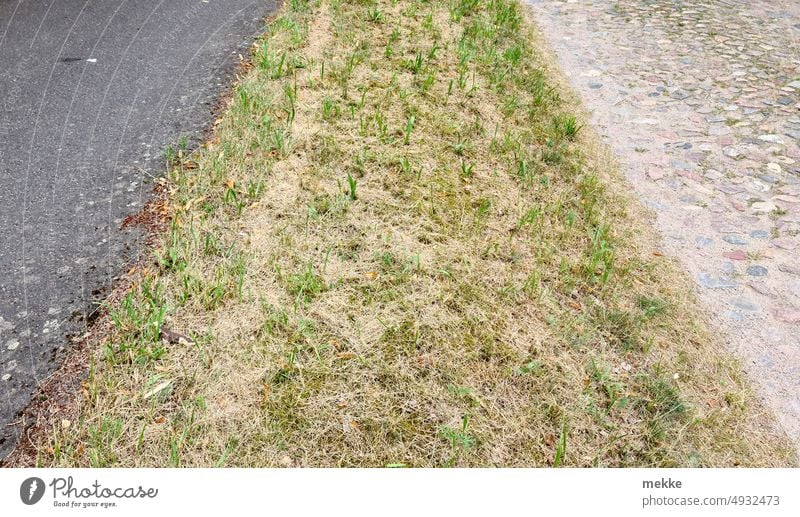 Trikolore von Straßenbelägen - links ist der Radweg Straßenbelag Asphalt Wege & Pfade Verkehrswege Rasen Kopfsteinpflaster Steine Pflastersteine