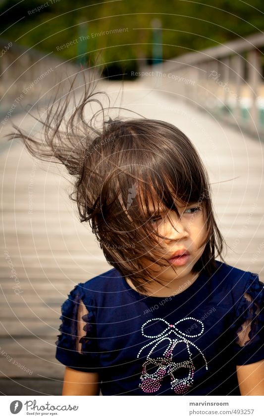 Blick Strand Mensch Kind Mädchen Haare & Frisuren 1 3-8 Jahre Kindheit Denken schön Warmherzigkeit Morgen Licht Wegsehen