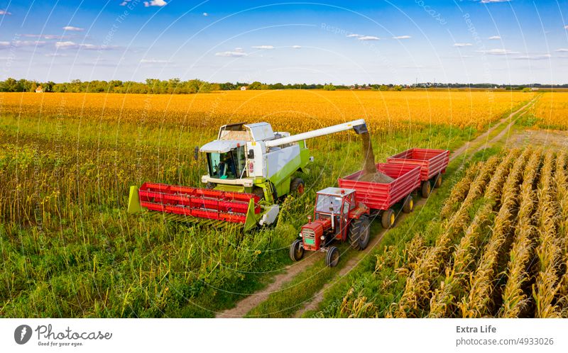 Luftaufnahme eines Mähdreschers, der frisch geerntetes Getreide zum Transport auf einen Anhänger lädt oben Antenne landwirtschaftlich Ackerbau Agronomie Ladung