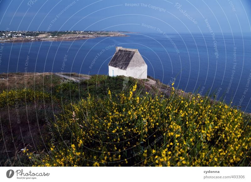 Bretagne harmonisch Erholung ruhig Ferien & Urlaub & Reisen Tourismus Ausflug Ferne Freiheit Sommerurlaub wandern Umwelt Natur Landschaft Sträucher Küste Bucht