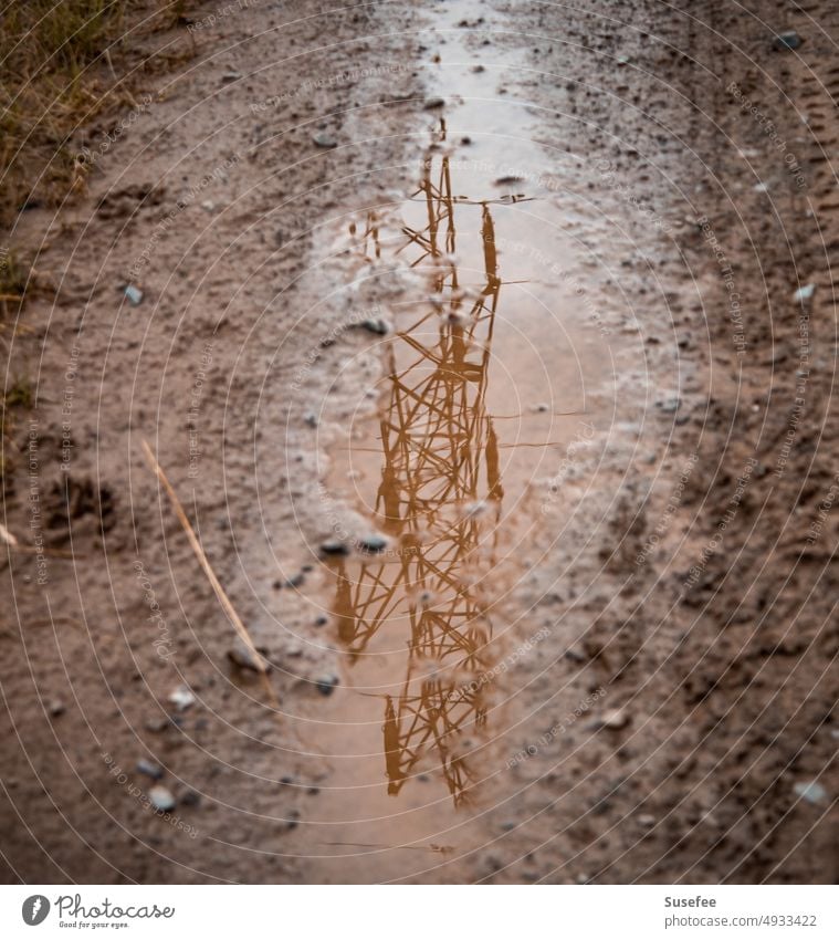 Strommast spiegelt sich in einer Pfütze im Schlamm Energie Versorgung Elektrizität Energiewirtschaft Himmel Technik & Technologie Umwelt Energiekrise Regen