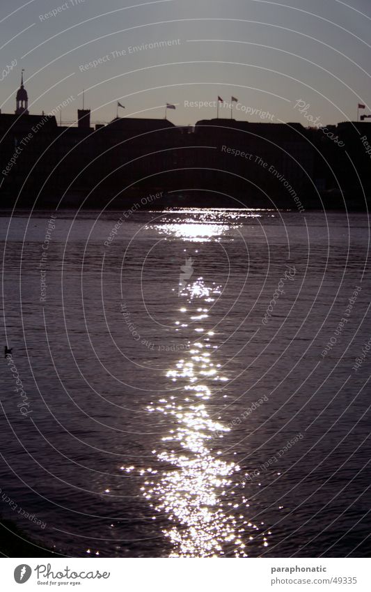 Fahnen-Skyline Haus Gebäude Bach Stadt See Sonnenuntergang Gegenlicht Reichtum Außenaufnahme Wasser Hamburg Abend