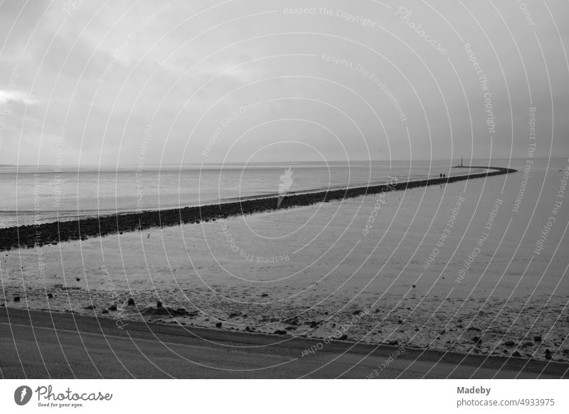 Das Weltkulturerbe Wattenmeer mit Küstenschutz an der Küste der Nordsee am Hafen von Norden bei Norddeich in Ostfriesland in Niedersachsen, fotografiert in klassischem Schwarzweiß