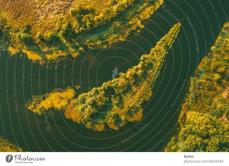 Aerial View Green Forest Woods On Small River Island In Summer Landscape. Top View of Beautiful European Nature From High Attitude In Summer Season. Drone Ansicht. Vogelperspektive Ansicht