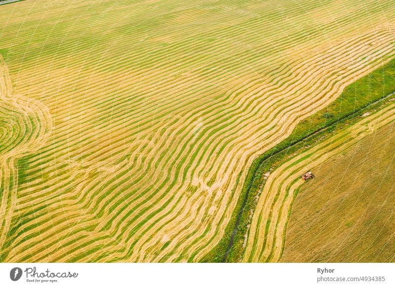 Luftaufnahme einer ländlichen Landschaft. Mähdrescher arbeitet im Feld, sammelt Samen. Ernte von Weizen im Spätsommer. Landwirtschaftliche Maschine Sammeln Golden Ripe. Vogelperspektive Drohne Ansicht